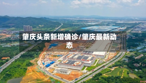 肇庆头条新增确诊/肇庆最新动态
