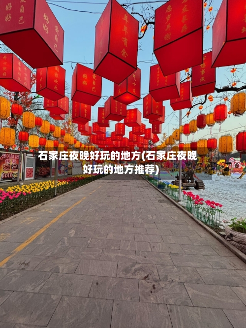 石家庄夜晚好玩的地方(石家庄夜晚好玩的地方推荐)