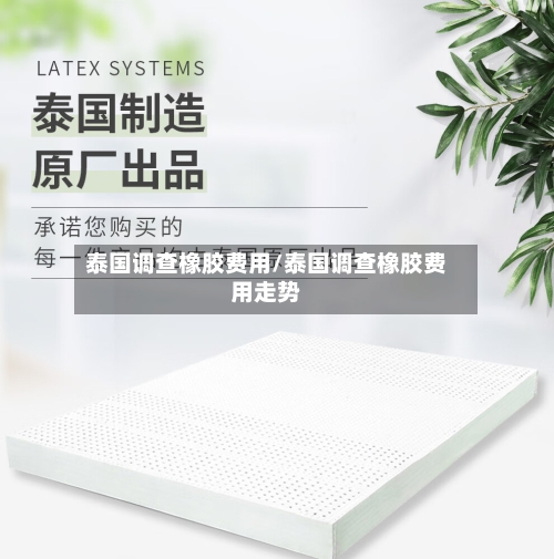 泰国调查橡胶费用/泰国调查橡胶费用走势