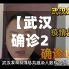 【武汉确诊20例,武汉最终确诊人数】
