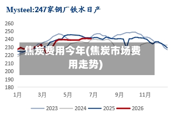焦炭费用今年(焦炭市场费用走势)
