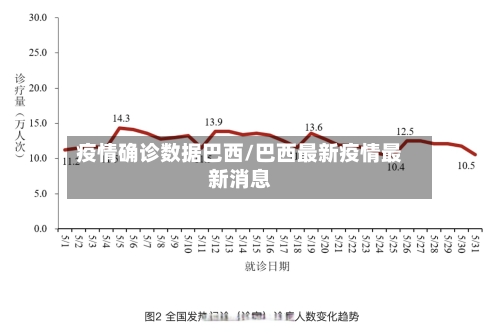 疫情确诊数据巴西/巴西最新疫情最新消息-第2张图片