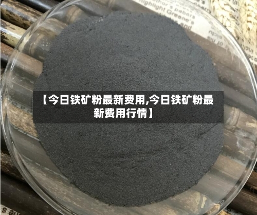 【今日铁矿粉最新费用,今日铁矿粉最新费用行情】-第2张图片