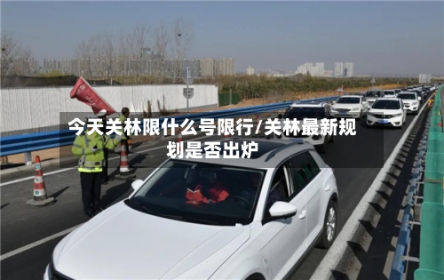 今天关林限什么号限行/关林最新规划是否出炉-第2张图片