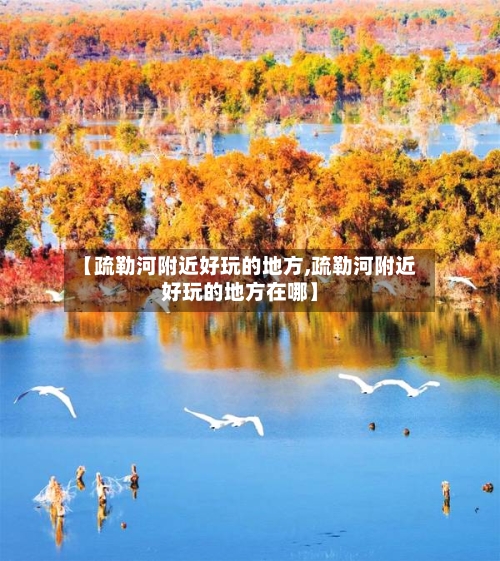 【疏勒河附近好玩的地方,疏勒河附近好玩的地方在哪】-第2张图片