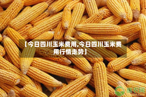 【今日四川玉米费用,今日四川玉米费用行情走势】