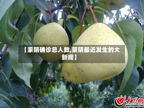 【蒙阴确诊总人数,蒙阴最近发生的大新闻】-第3张图片