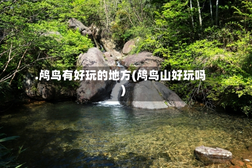 .鸬鸟有好玩的地方(鸬鸟山好玩吗)