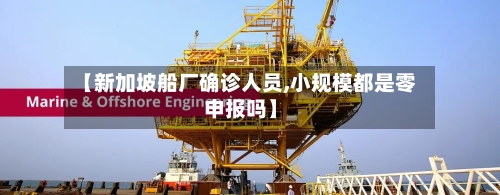 【新加坡船厂确诊人员,小规模都是零申报吗】