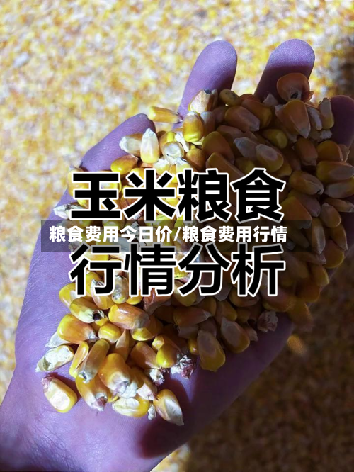 粮食费用今日价/粮食费用行情