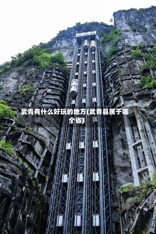 武青有什么好玩的地方(武青县属于哪个省)-第2张图片