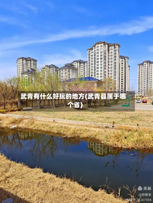 武青有什么好玩的地方(武青县属于哪个省)