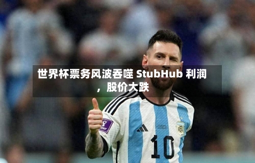 世界杯票务风波吞噬 StubHub 利润，股价大跌