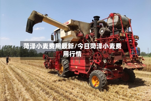 菏泽小麦费用最新/今日菏泽小麦费用行情-第2张图片