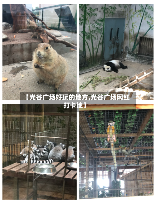 【光谷广场好玩的地方,光谷广场网红打卡地】-第3张图片
