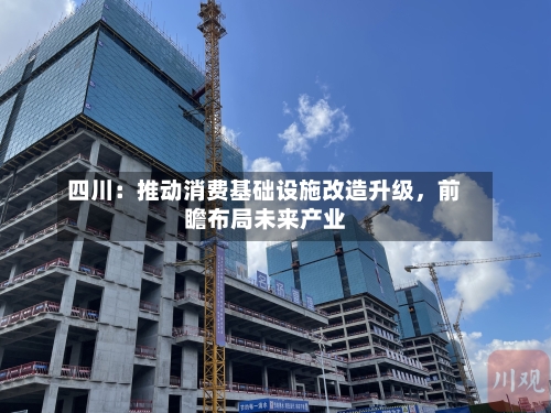 四川：推动消费基础设施改造升级，前瞻布局未来产业