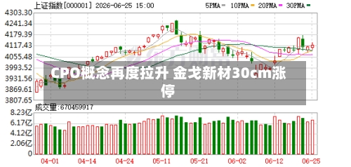 CPO概念再度拉升 金戈新材30cm涨停-第2张图片