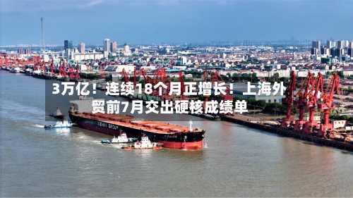 3万亿！连续18个月正增长！上海外贸前7月交出硬核成绩单-第2张图片