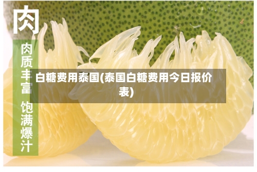 白糖费用泰国(泰国白糖费用今日报价表)