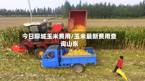 今日聊城玉米费用/玉米最新费用查询山东