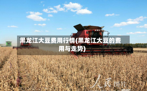 黑龙江大豆费用行情(黑龙江大豆的费用与走势)