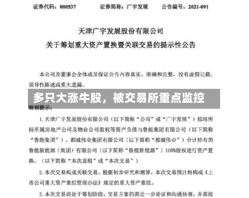 多只大涨牛股，被交易所重点监控-第2张图片