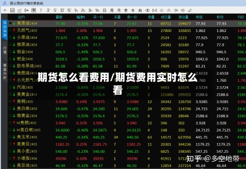 期货怎么看费用/期货费用实时怎么看-第3张图片