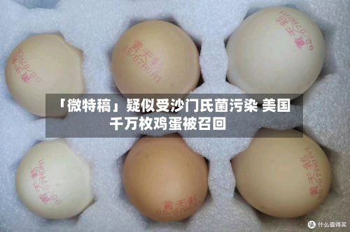 「微特稿」疑似受沙门氏菌污染 美国千万枚鸡蛋被召回-第2张图片