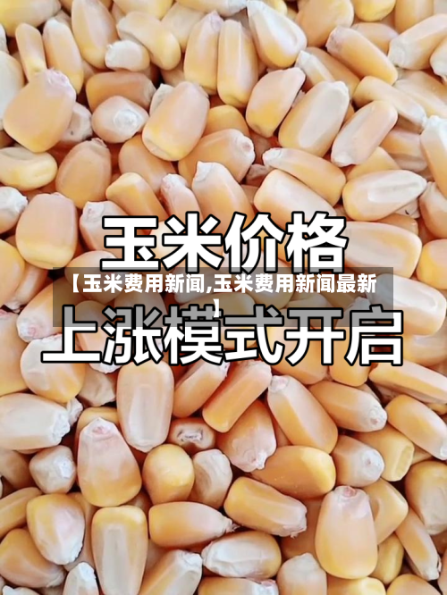 【玉米费用新闻,玉米费用新闻最新】