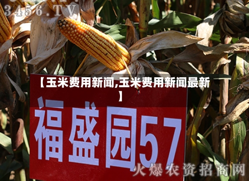 【玉米费用新闻,玉米费用新闻最新】-第3张图片