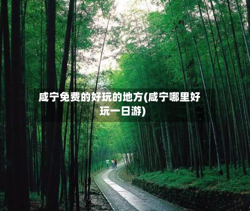 咸宁免费的好玩的地方(咸宁哪里好玩一日游)