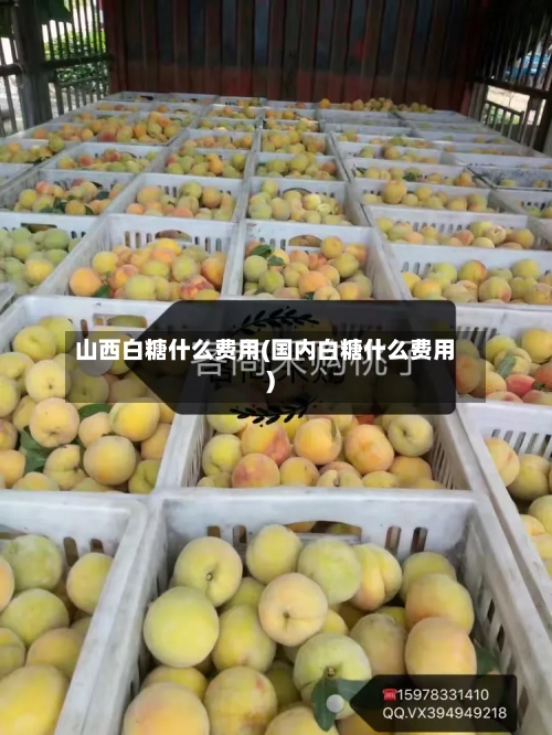 山西白糖什么费用(国内白糖什么费用)-第3张图片