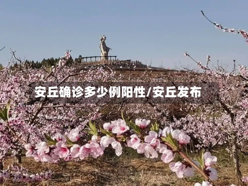 安丘确诊多少例阳性/安丘发布