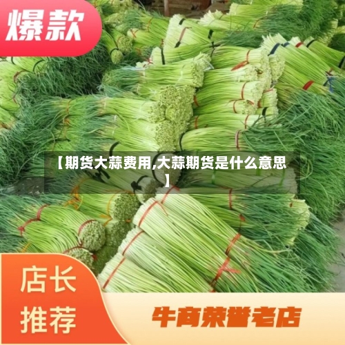 【期货大蒜费用,大蒜期货是什么意思】