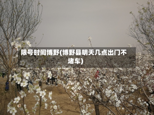 限号时间博野(博野县明天几点出门不堵车)