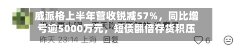 威派格上半年营收锐减57%，同比增亏逾5000万元，短债翻倍存货积压风险暗涌