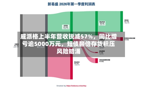威派格上半年营收锐减57%，同比增亏逾5000万元	，短债翻倍存货积压风险暗涌-第2张图片