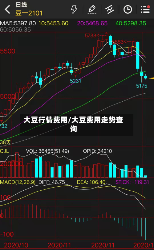 大豆行情费用/大豆费用走势查询-第2张图片