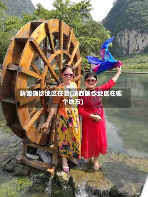 靖西确诊地区在哪(靖西确诊地区在哪个地方)