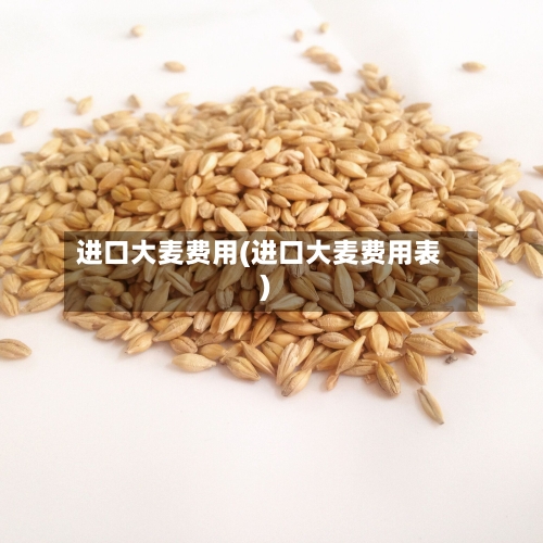 进口大麦费用(进口大麦费用表)