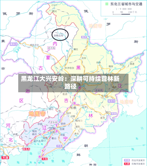 黑龙江大兴安岭：深耕可持续营林新路径-第2张图片