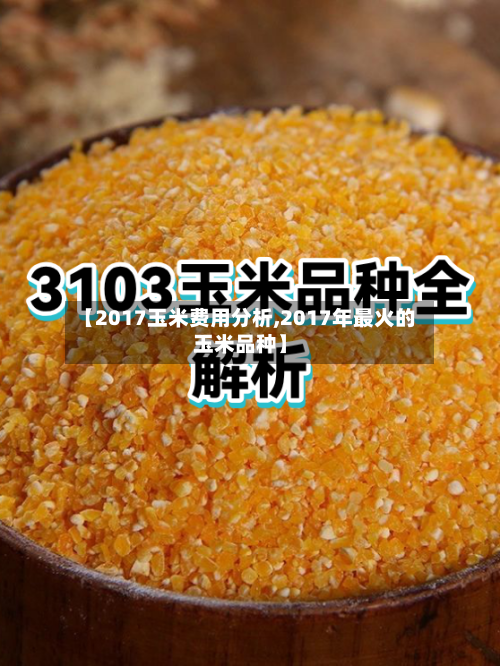 【2017玉米费用分析,2017年最火的玉米品种】