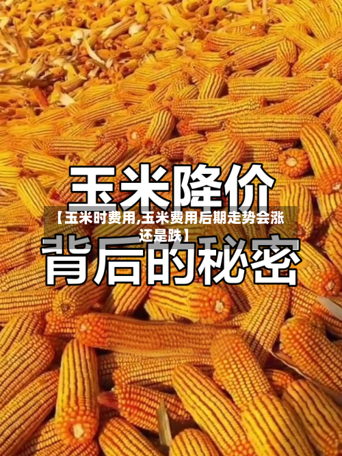 【玉米时费用,玉米费用后期走势会涨还是跌】