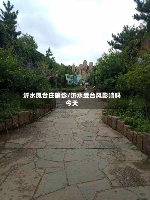 沂水凤台庄确诊/沂水受台风影响吗今天