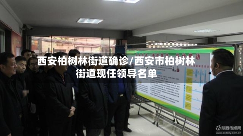 西安柏树林街道确诊/西安市柏树林街道现任领导名单