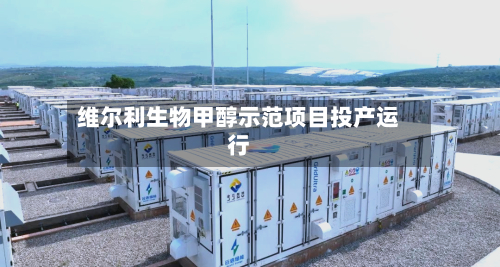 维尔利生物甲醇示范项目投产运行-第2张图片
