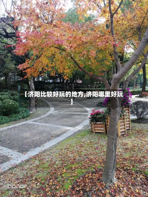 【济阳比较好玩的地方,济阳哪里好玩】-第3张图片