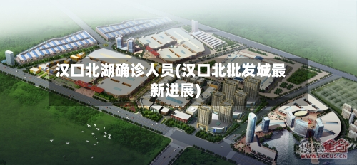 汉口北湖确诊人员(汉口北批发城最新进展)
