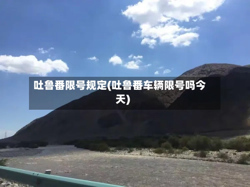 吐鲁番限号规定(吐鲁番车辆限号吗今天)-第2张图片