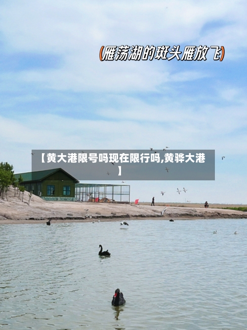 【黄大港限号吗现在限行吗,黄骅大港】